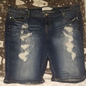 Bermuda Shorts- Torrid